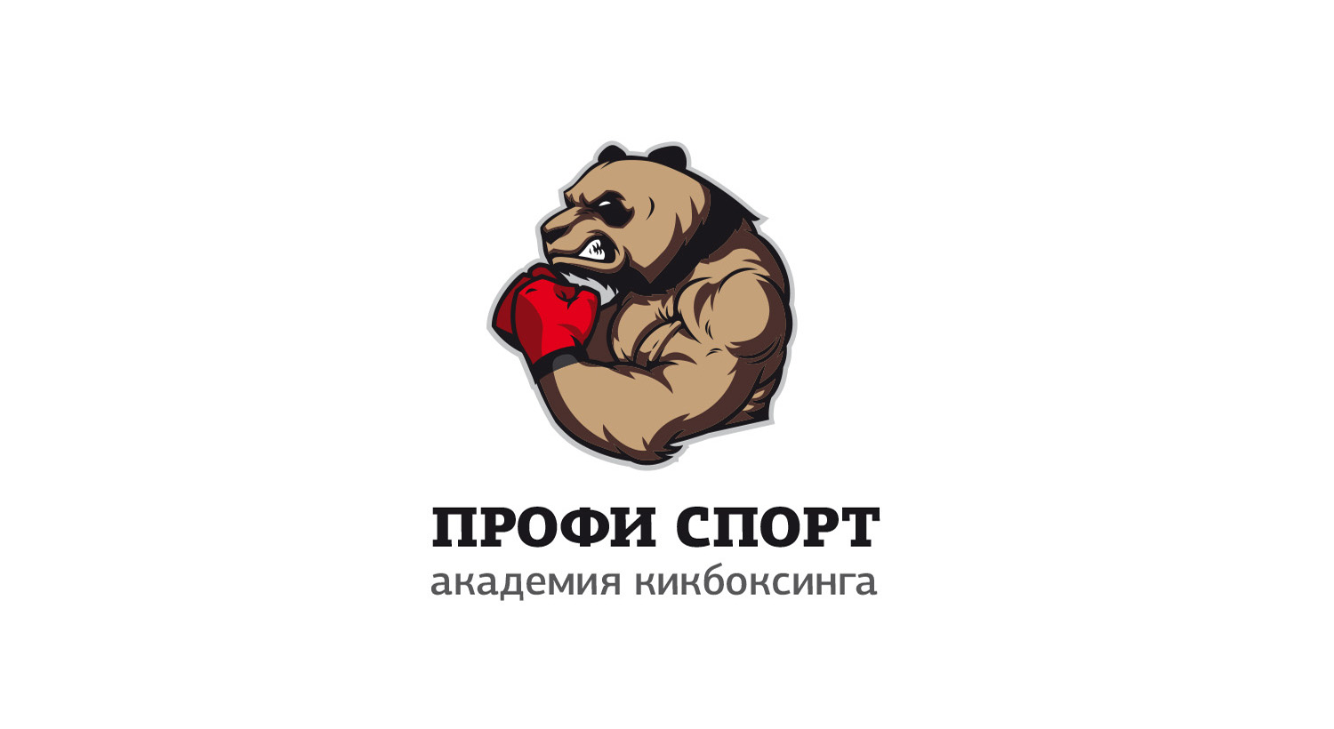 «Профи Спорт» — основная версия логотипа